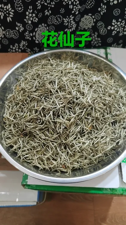 特级全芽小米针茉莉花茶浓香茉莉花茶叶