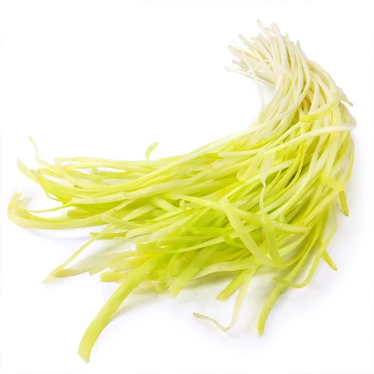 （现割现挑）云南韭黄现摘现发天然嫩黄口感脆嫩产地直发新鲜蔬菜