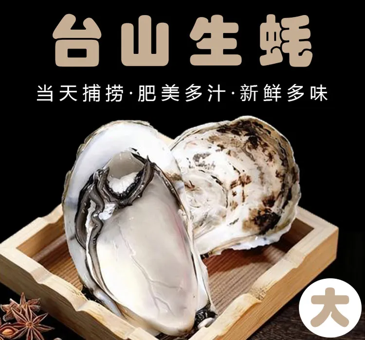 【台山大蚝】台山特产川岛生蚝 12-14只 斤/罐鲜甜脆口