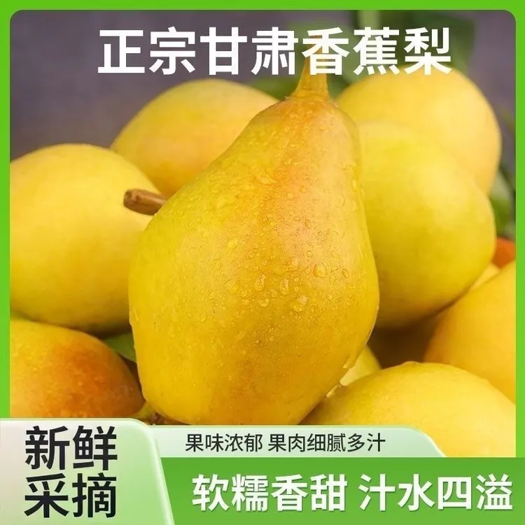甘肃庆阳香蕉梨 软糯多汁 香甜可口 新鲜应季水果