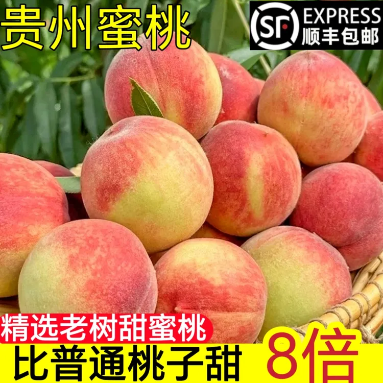 贵州安顺现摘现发新鲜桃子芒果水蜜桃脆甜多汁应季水果
