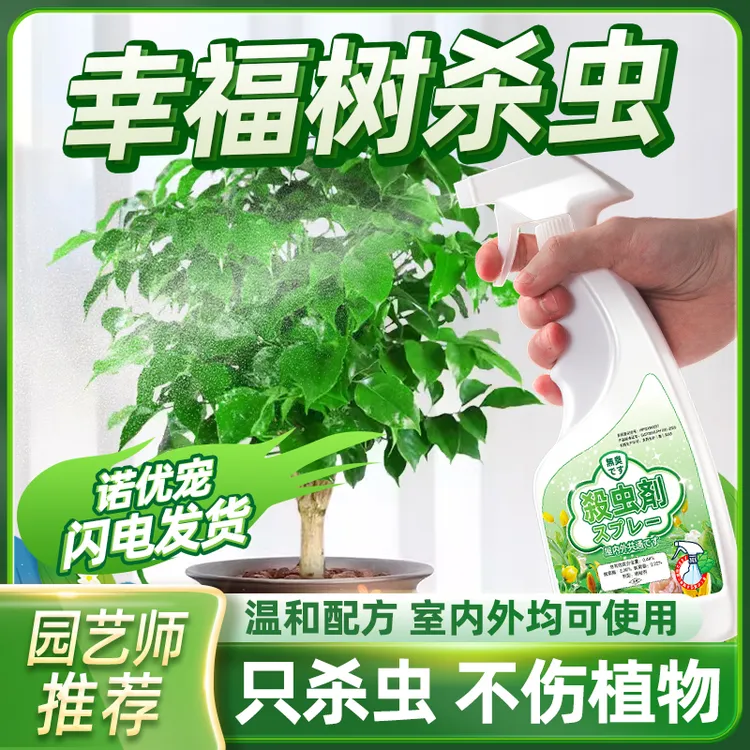 幸福树驱虫药蚜虫白虫杀虫灭虫富贵长白毛红蜘蛛树虫防虫小去虫害