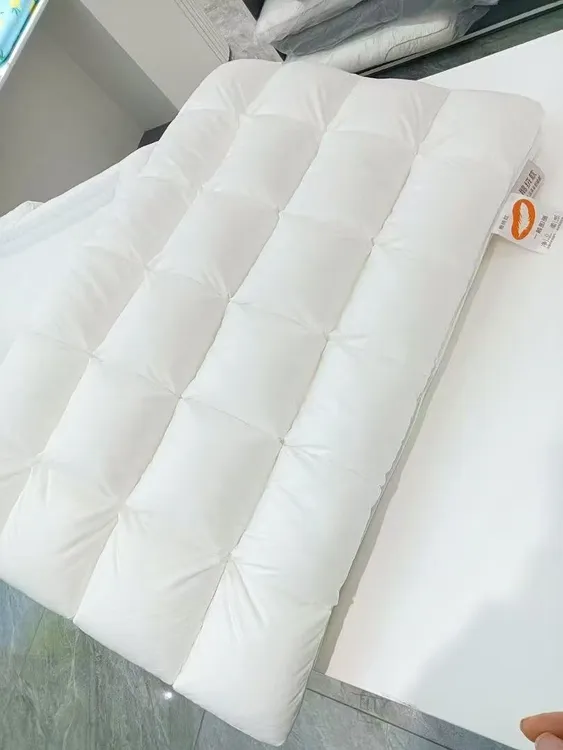 鹅绒 夫妻枕(两个)