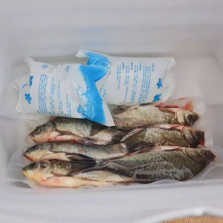 猫扑鱼微山湖新鲜野鲫鱼去鳃去内脏炖汤下奶滋补鲜活现杀