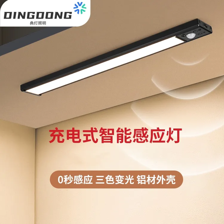 夜灯橱柜专用感应灯充电式衣柜长条家用无线夜灯带遥控智能感应