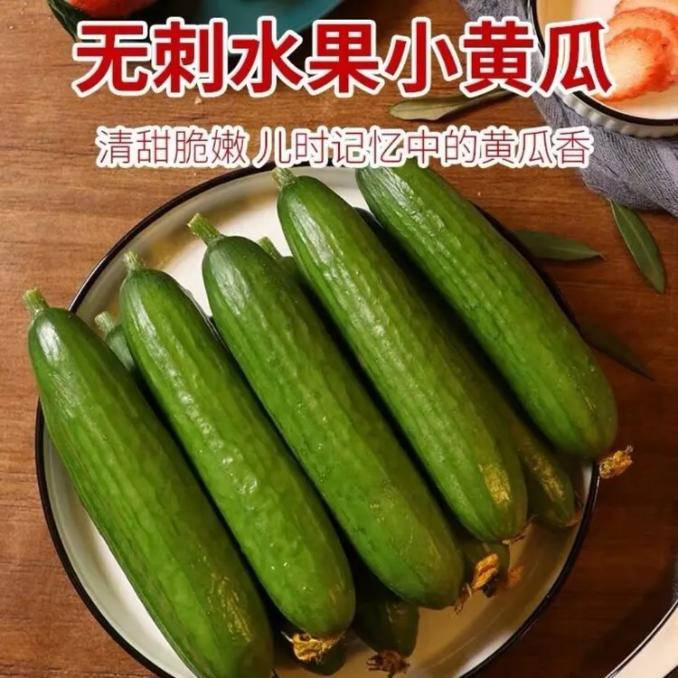 现摘无刺水果小黄瓜新鲜脆嫩可生吃当季应季水果蔬菜