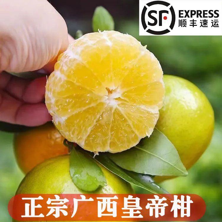 顺丰包邮 精品广西皇帝柑贡柑 新鲜现摘当季水果柑橘桔子1-8.5斤
