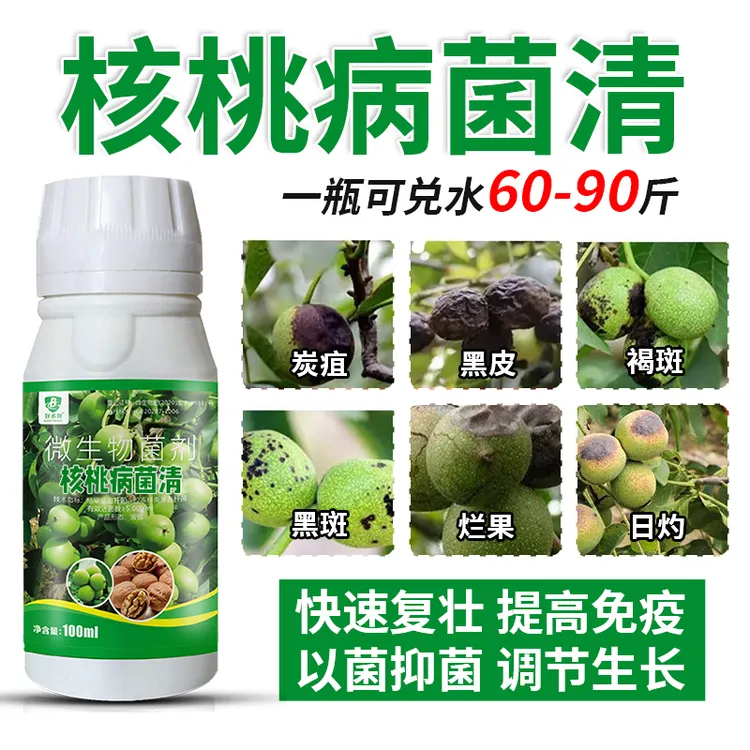 核桃病菌清专用核桃黑果炭疽黑斑黑星坏仁烂果正品直销微生物菌剂