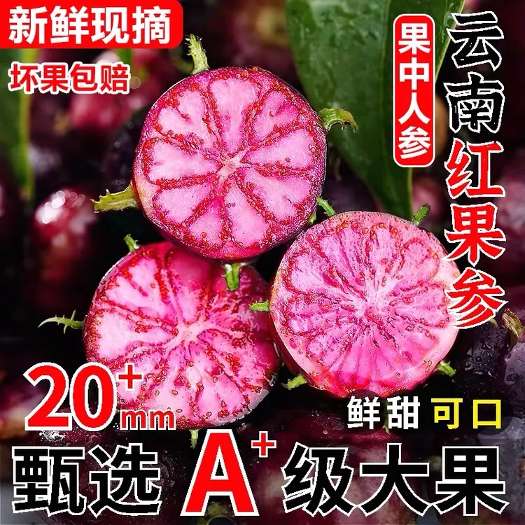 精品果【云南红果参】新鲜蜘蛛果算盘果应当季新鲜深山野果现摘现发