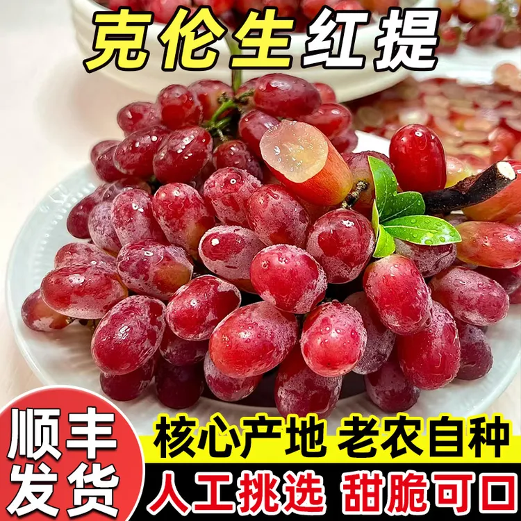 顺丰包邮 克伦生无籽葡萄 新鲜当季热卖水果现摘脆甜多汁红提提子