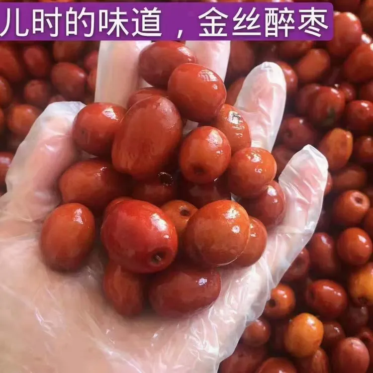 沧州金丝小枣醉枣包邮新鲜美味