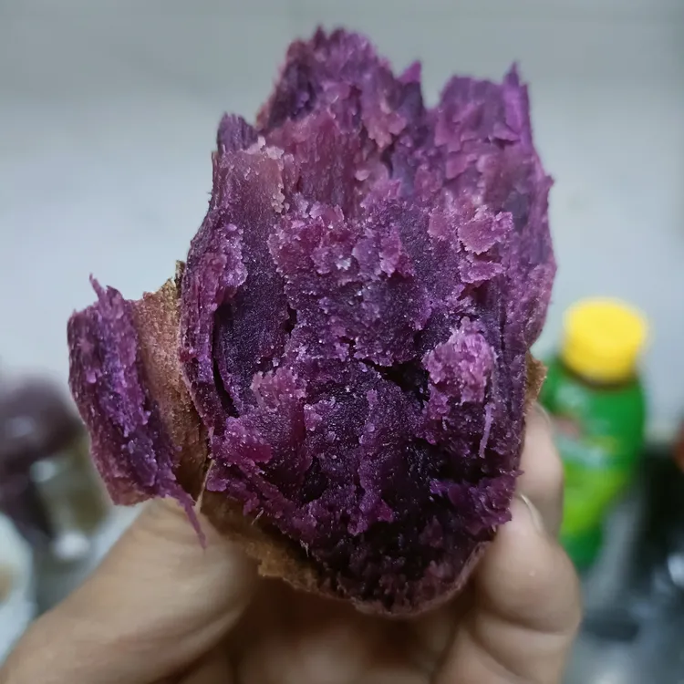 山东泗水南彭村地瓜哥高山黑美人紫薯新鲜农家自种软糯香甜紫红薯