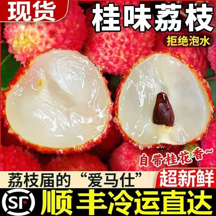 正宗灵山桂味荔枝荔枝中的劳斯莱斯顺丰冷链发货