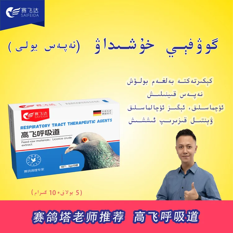 塔老师推荐鸽子保健【高飞呼吸dao】