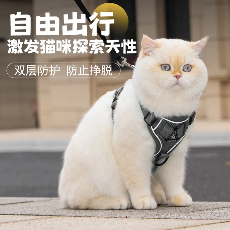 猫咪牵引绳防挣脱遛猫绳可调节背心式透气网面胸背家用栓猫绳子