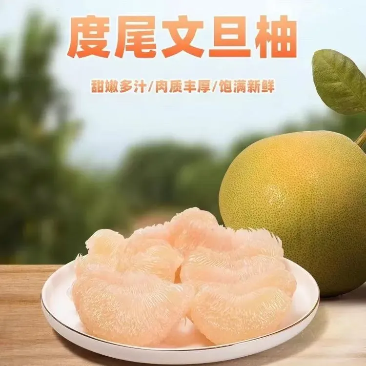 （5～20斤袋装无孔）正宗福建度尾红心文旦柚新鲜多汁孕妇时令水果