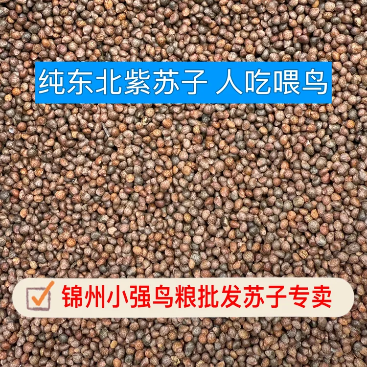 2025正宗东北紫苏子鸟粮人食级黄鸟黄雀玉鸟丝雀鸽子鹦鹉等软苏子