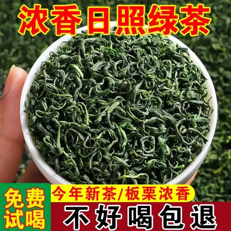 日照绿茶新茶晚秋茶浓香型板栗味浓郁豆香味十足沙口耐泡度高