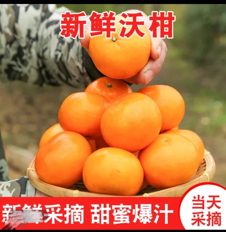 沃柑新鲜水果皮薄多汁香甜新鲜采摘