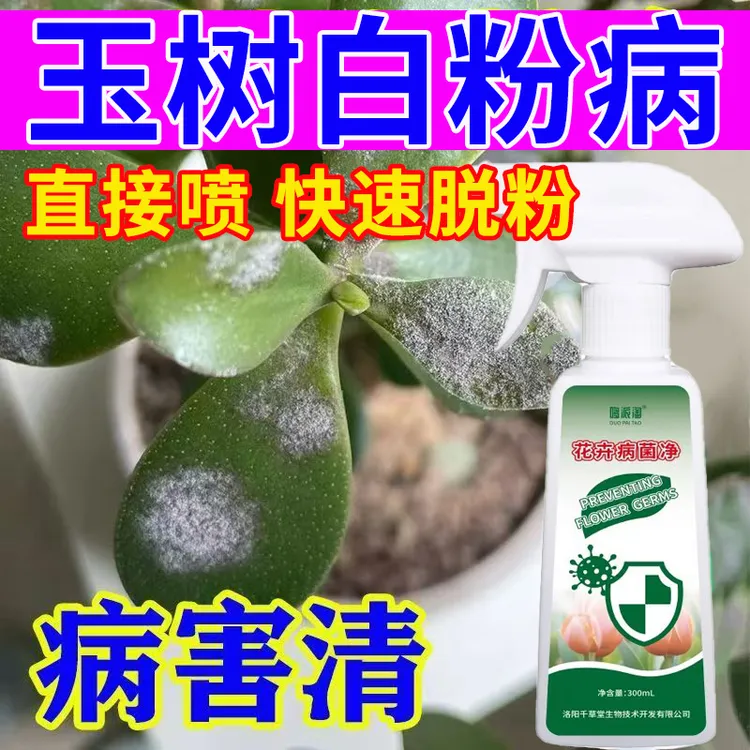 玉树白粉病专用营养液快速脱粉抑菌抗病喷剂防软腐根腐叶斑液体肥