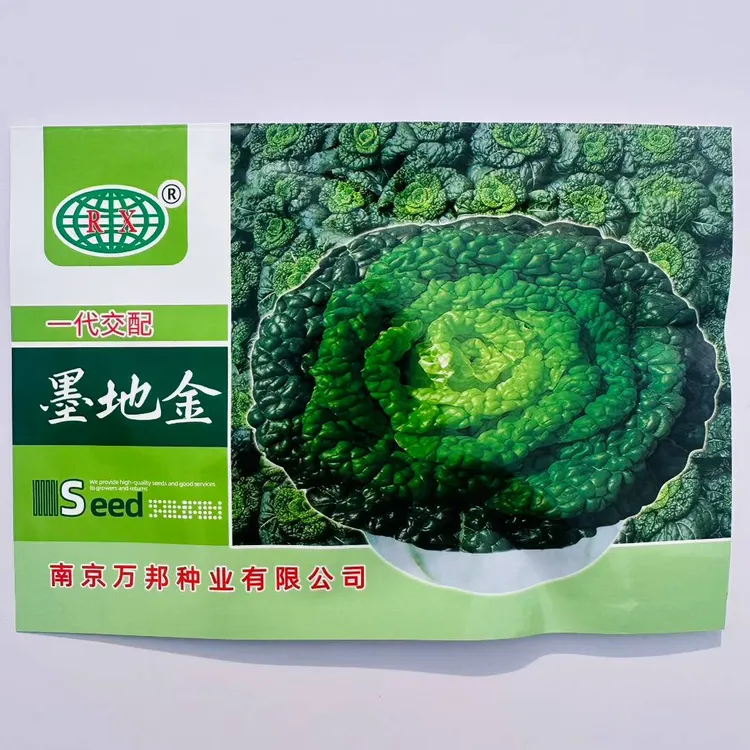 万帮冬美墨地金乌塌菜种子杂交一代墨绿黑心乌种子耐寒乌塌菜种子
