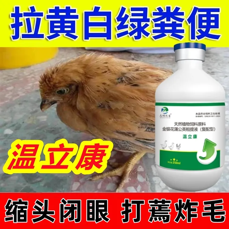 温立康鸡鸭鹅鸽子鹌鹑家禽低头闭眼呆立炸毛饮水拌料通用添加剂