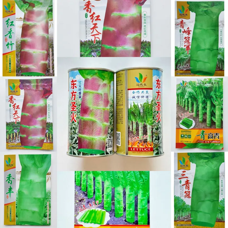 青皮红皮莴笋莴苣种籽大全抗病高产四季蔬菜种籽子种莴笋种孑