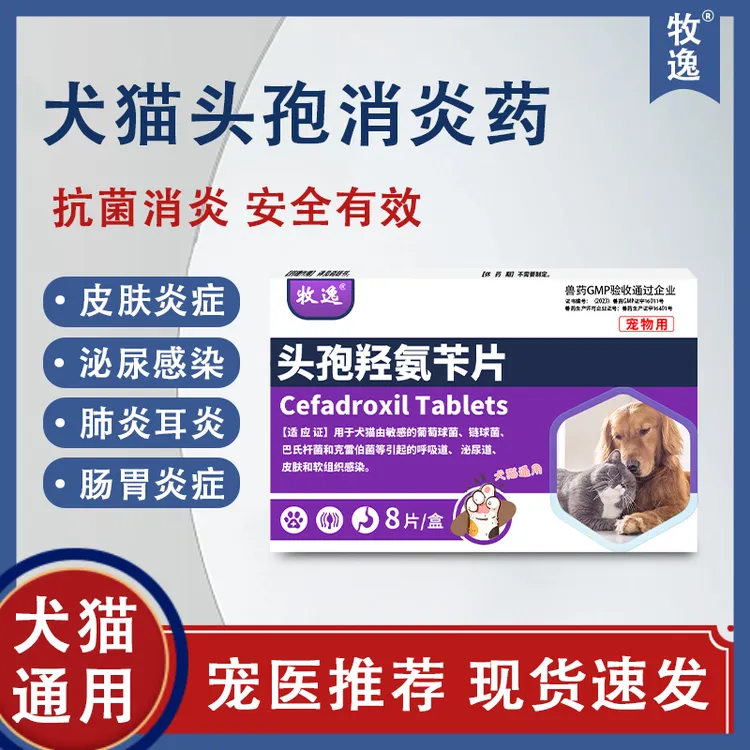 牧逸头孢羟氨苄片宠物狗狗猫咪呼吸道感染感冒消炎药兽药非处方药