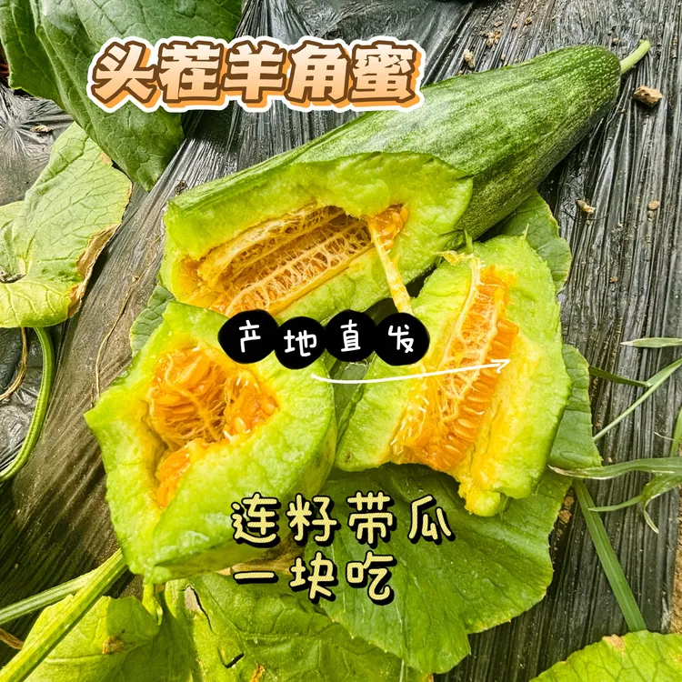 【精选】正宗山东头茬羊角蜜甜瓜新鲜脆甜多汁当季水果香甜商品图
