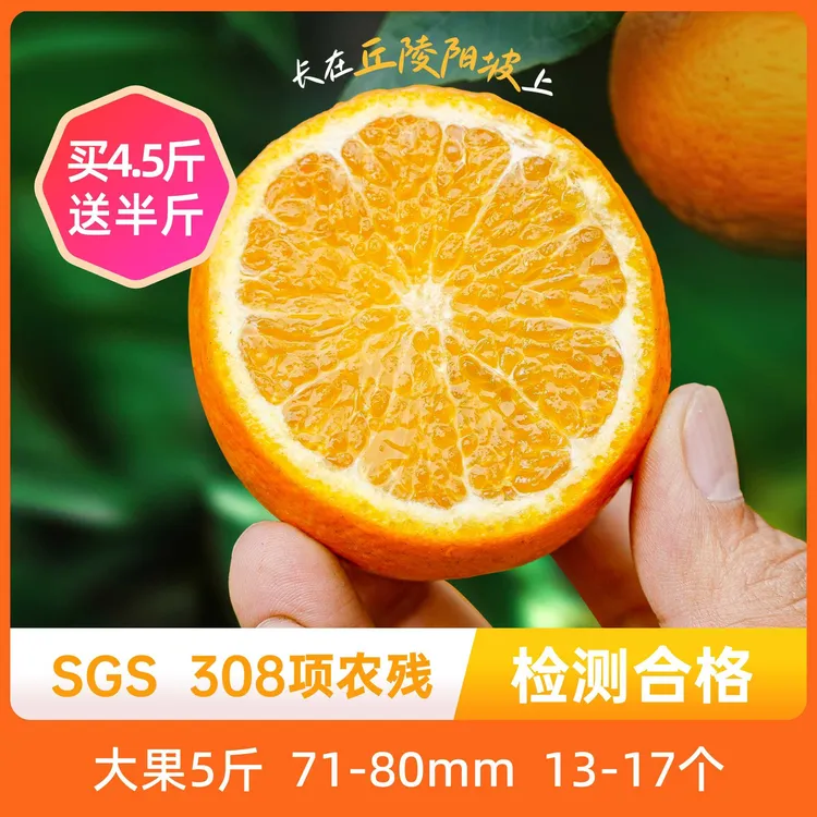 辰颐物语 广西沃柑5斤装