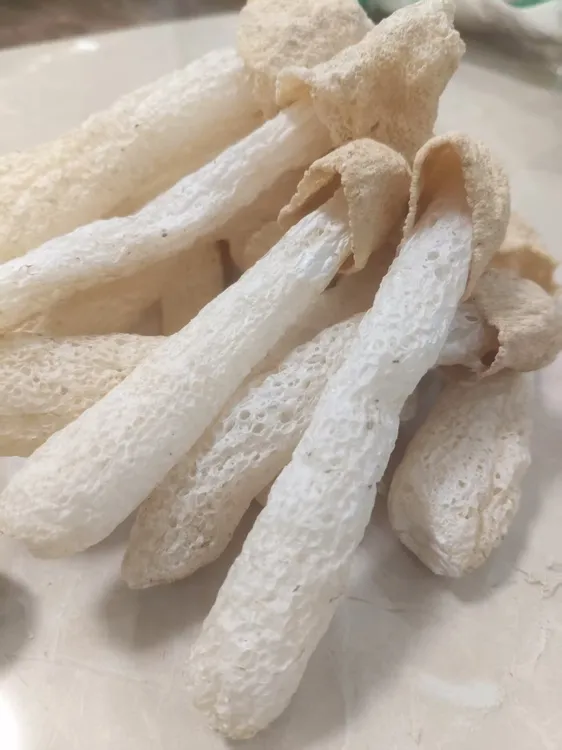 【农家竹荪】新鲜干货未开裙嫩菇蕾短裙竹笙可煲汤竹荪干货特级