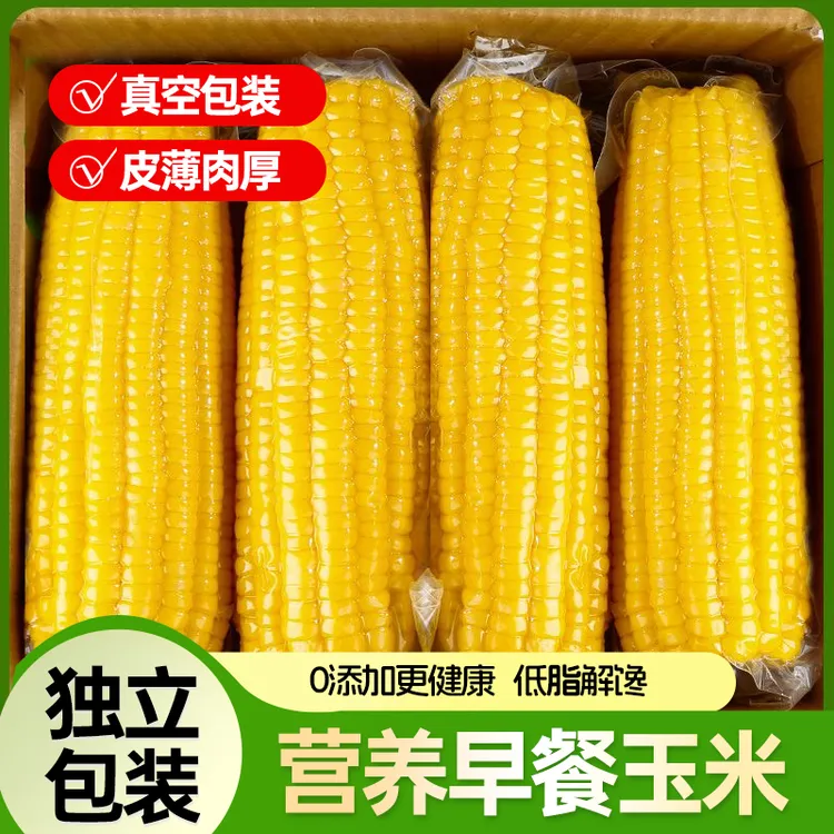 知春寒【新疆伊利直发】黄糯玉米真空包装糯玉米黏糯甜玉米
