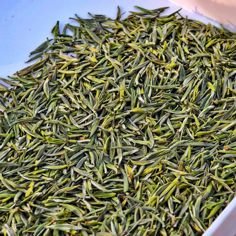 2025年紫阳茶头采银针芽型饱满汤色明亮滋味鲜爽