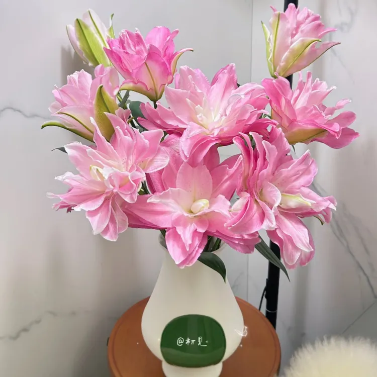 稀有精品莲花惊奇重瓣新鲜百合花，拒收冻坏不售后