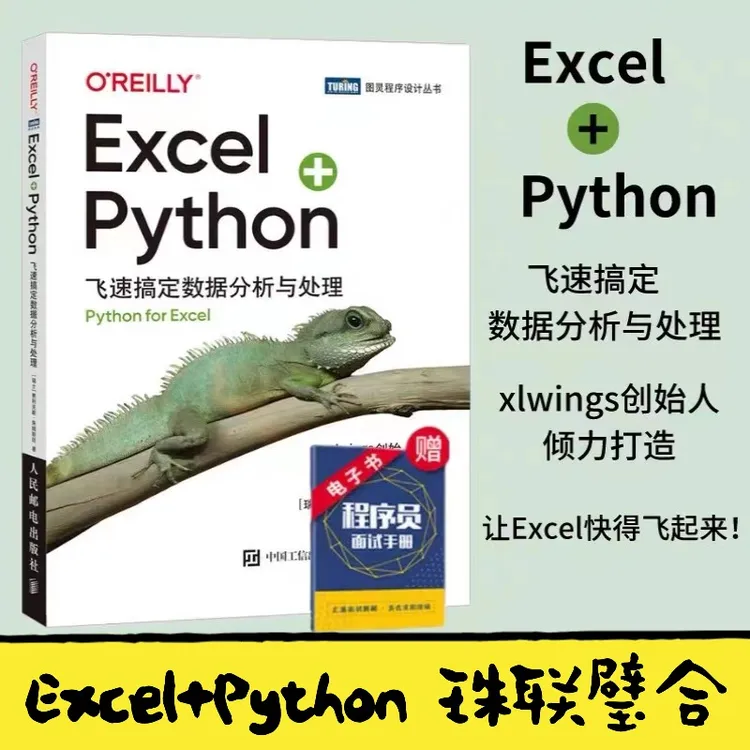 Excel+Python：飞速搞定数据分析与处理  编程程序从入门到实战  