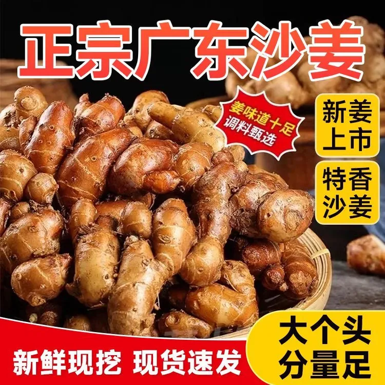 广东正宗沙姜新鲜现挖山奈农家白切鸡椰子鸡调味蔬菜姜餐用特惠姜