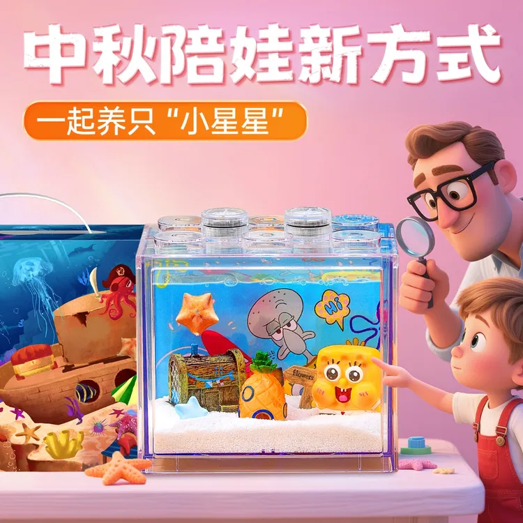 宠小帅海星养殖套餐儿童趣味造景礼盒客厅桌面小型创意装饰微景缸
