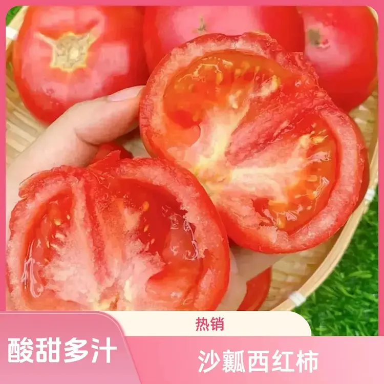 【应季生鲜】沙瓤西红柿攀枝花西红柿酸甜多汁产地直销新鲜商品图
