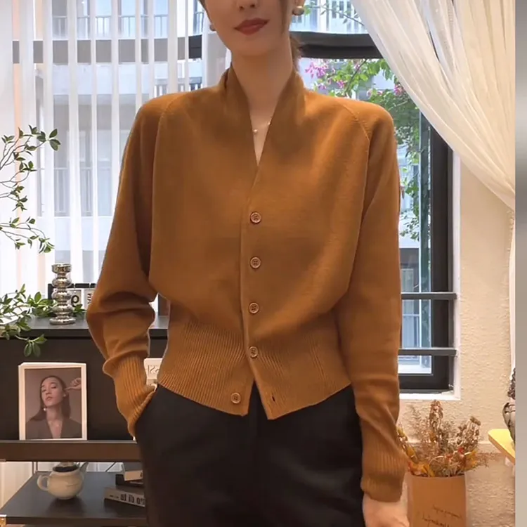 慵懒风v领毛衣女士2025秋季高级感洋气收腰显瘦针织开衫长袖上衣