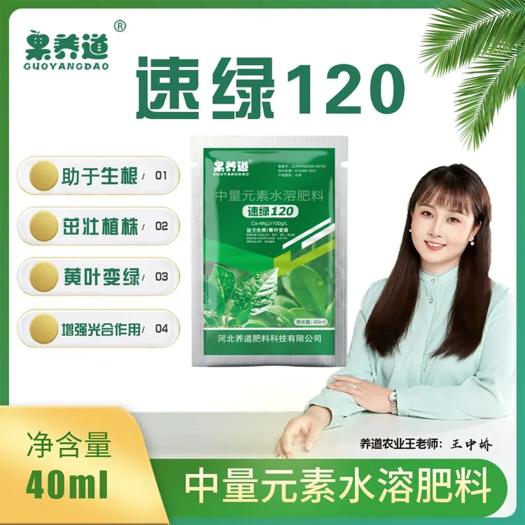 果养道速绿120黄叶变绿助于生根提苗壮根叶面肥