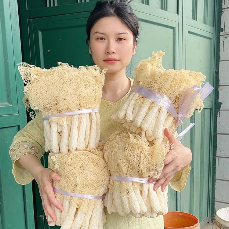 当季新货竹荪菇干货特产新鲜采摘肉厚无熏硫煲汤刷火锅好食材