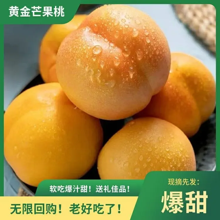 小耘乡头茬黄金芒果油桃当季新鲜水果软香甜桃孕妇整箱黄油桃