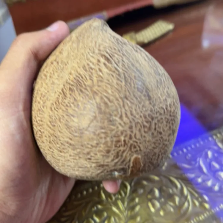 椰子椰子椰子椰子