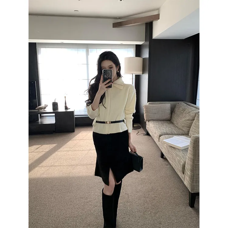 2025御姐洋气时尚高级感翻领休闲百搭长袖上衣高腰开叉半身裙套装