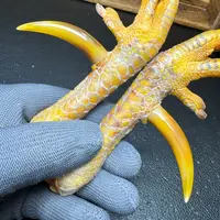 文玩鸡爪骨手把件（一对 处理好十天左右发货）