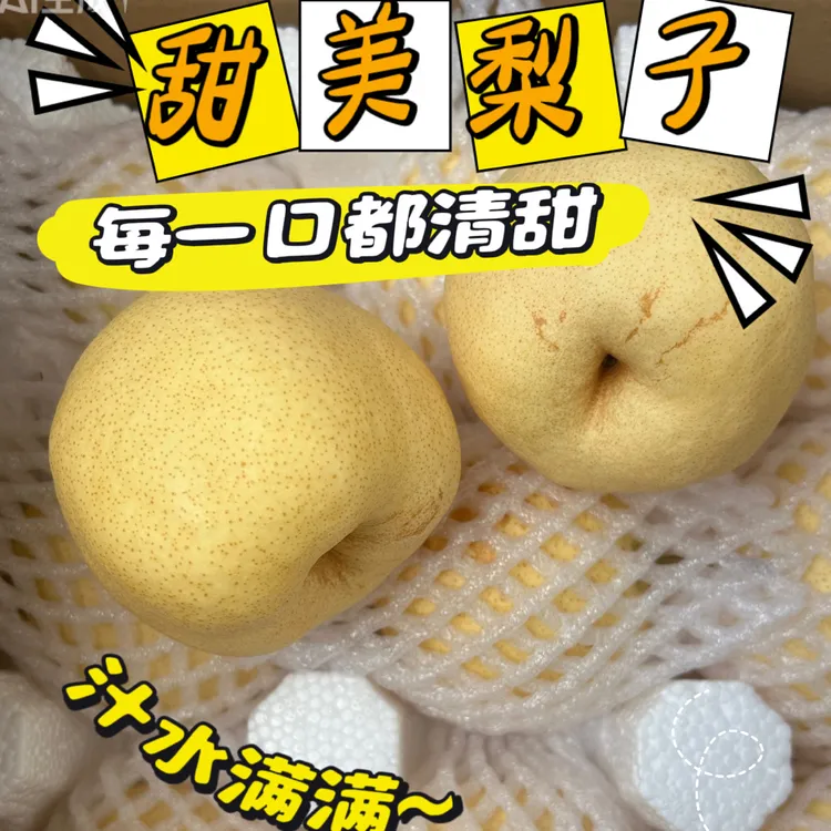 礼泉砀山酥梨酥梨现摘现发当季水果甘甜细腻净重4.8/10斤