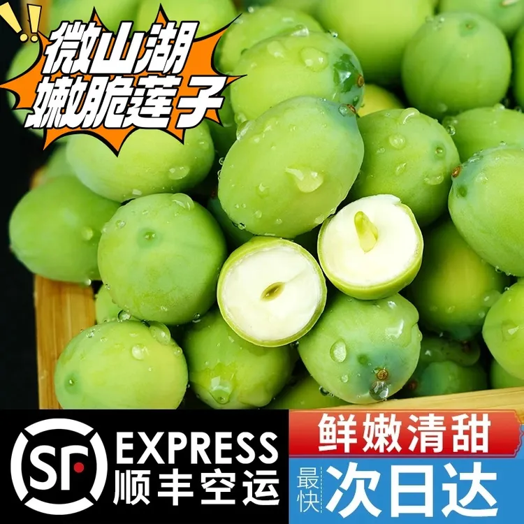 湖中老马家现剥新鲜微山湖嫩莲子带绿壳莲蓬可生吃太空莲顺丰空运
