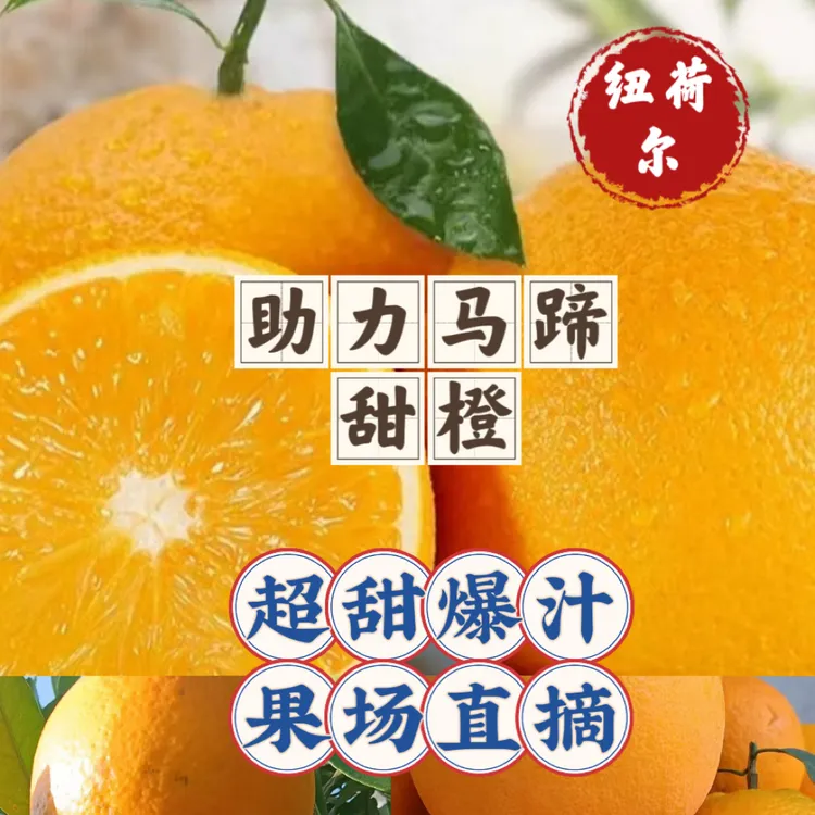 朱会长爱心助农古蔺马蹄甜橙优选