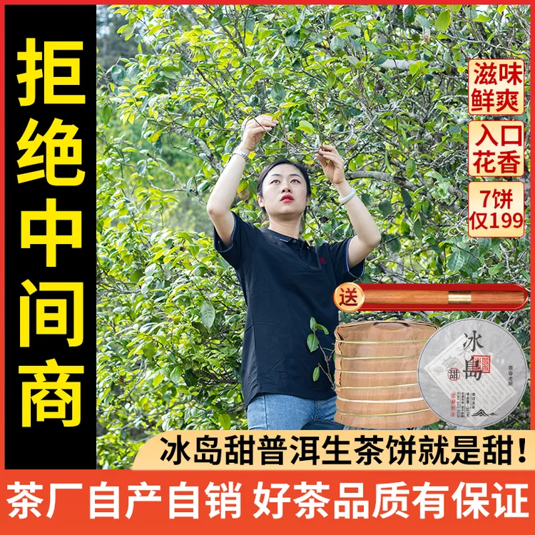 茶厂直销2020年冰岛春茶原料压制5年干仓存放陈化 价格低品质好!商品图