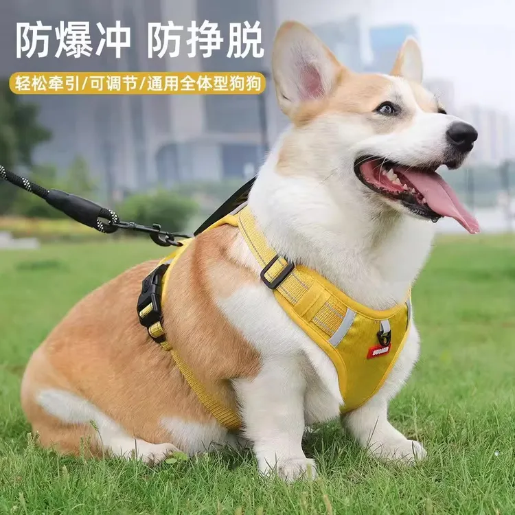 狗狗牵引绳柴犬柯基背心式胸背带中大型犬防爆冲耐用遛狗绳牵引绳